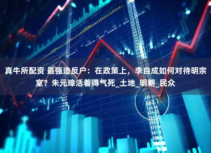 真牛所配资 最强造反户：在政策上，李自成如何对待明宗室？朱元璋活着得气死_土地_明朝_民众