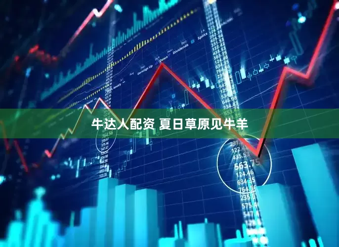 牛达人配资 夏日草原见牛羊