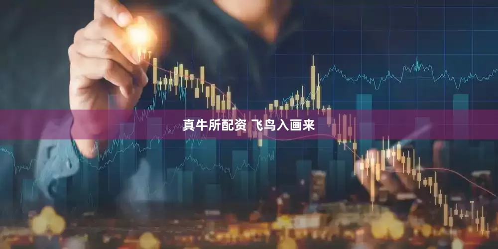 真牛所配资 飞鸟入画来